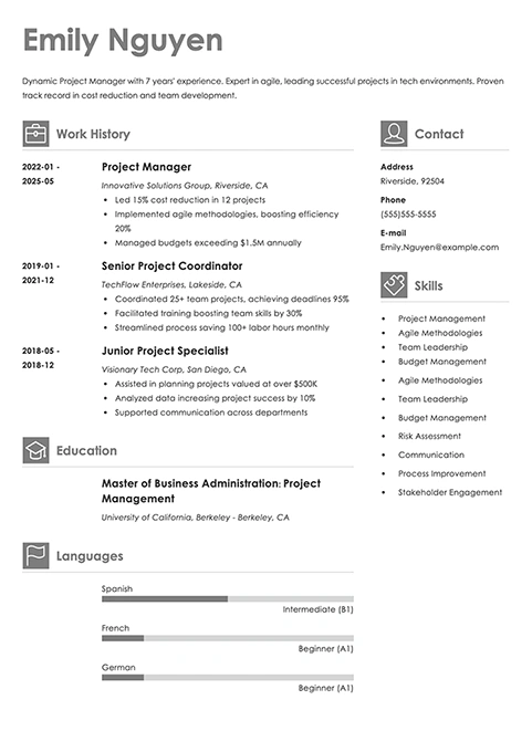 project manager resume example