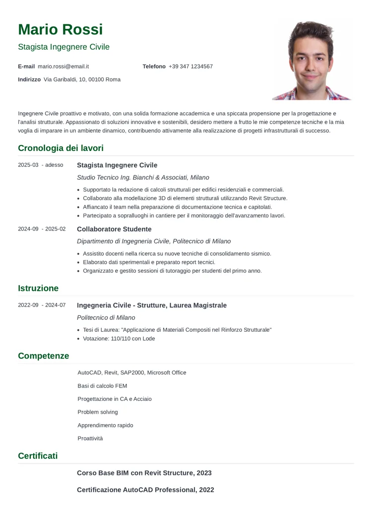 curriculum ingegnere civile esperto