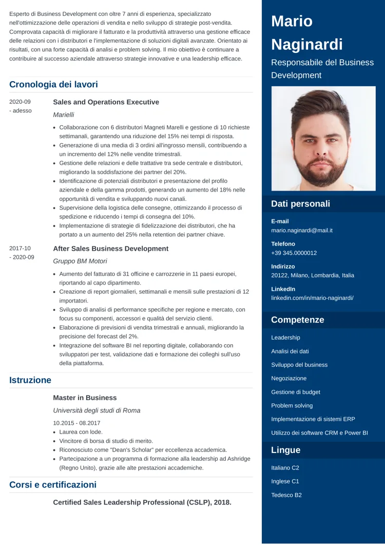 CV professionale enfold