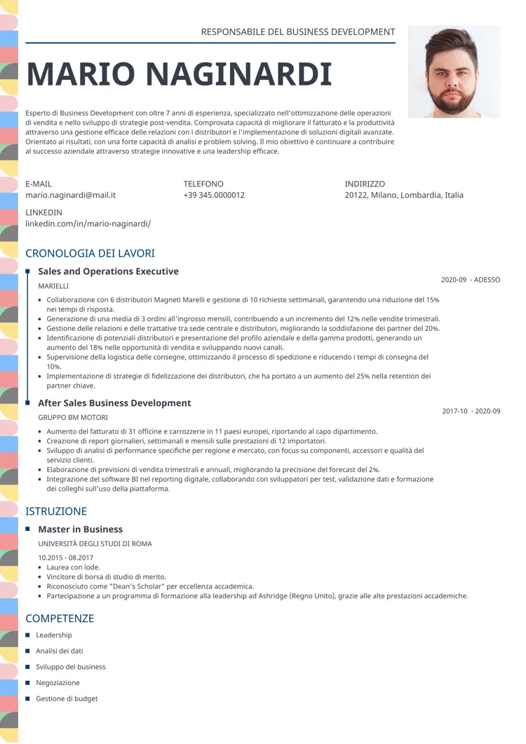 CV professionale Profile