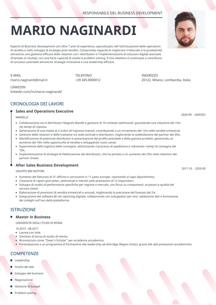 CV professionale Dynamic