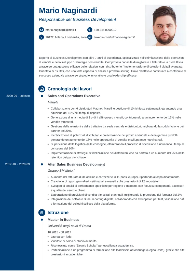 CV professionale Concept