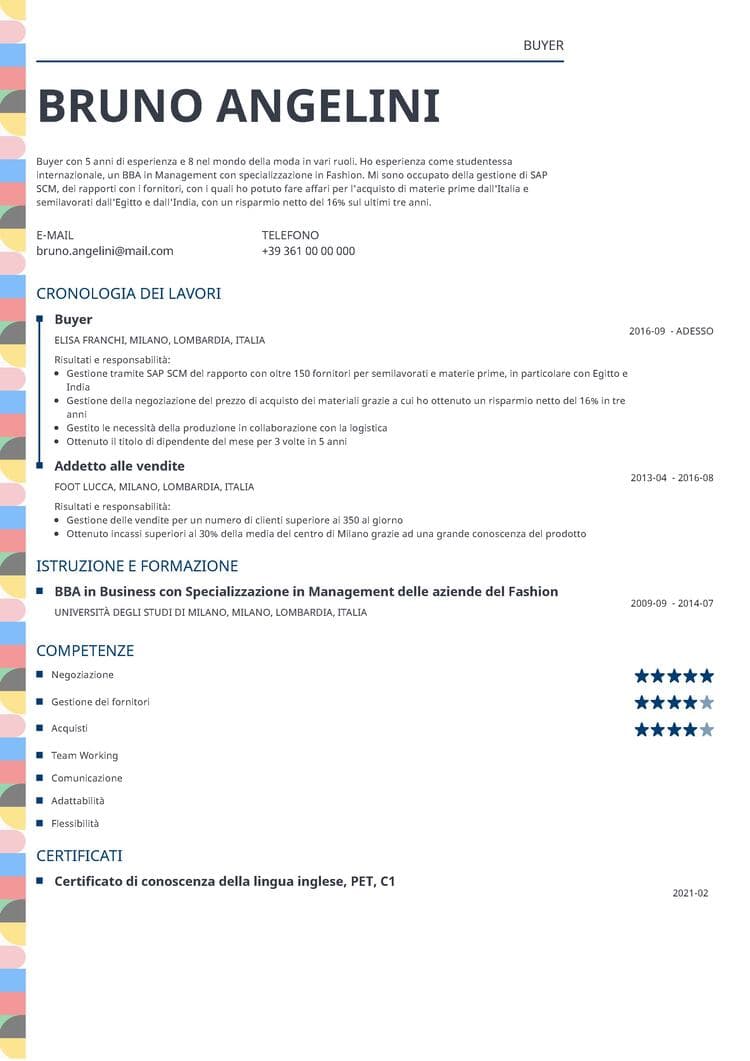 Curriculum vitae compilato Profile