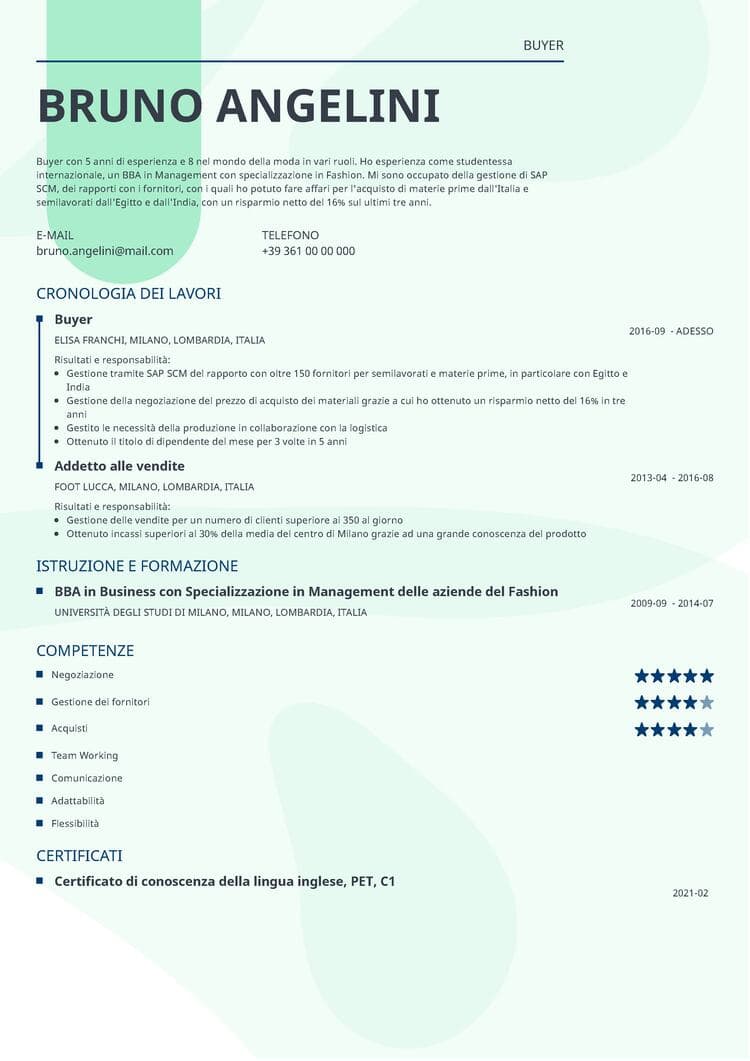 Curriculum vitae compilato Lumina