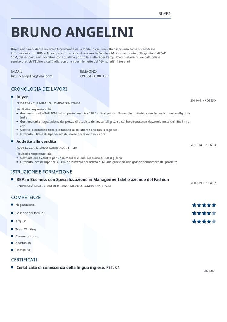 Curriculum vitae compilato Synergy