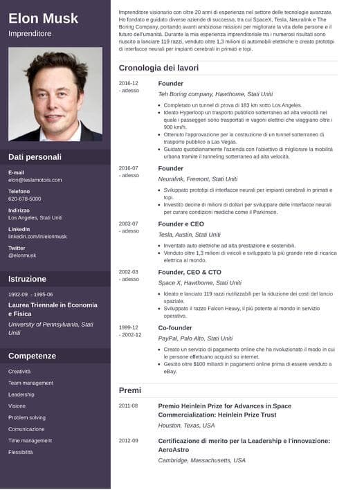CV Elon Musk