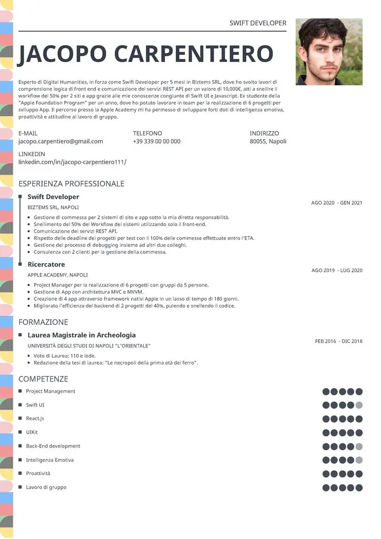 CV infografico Profile