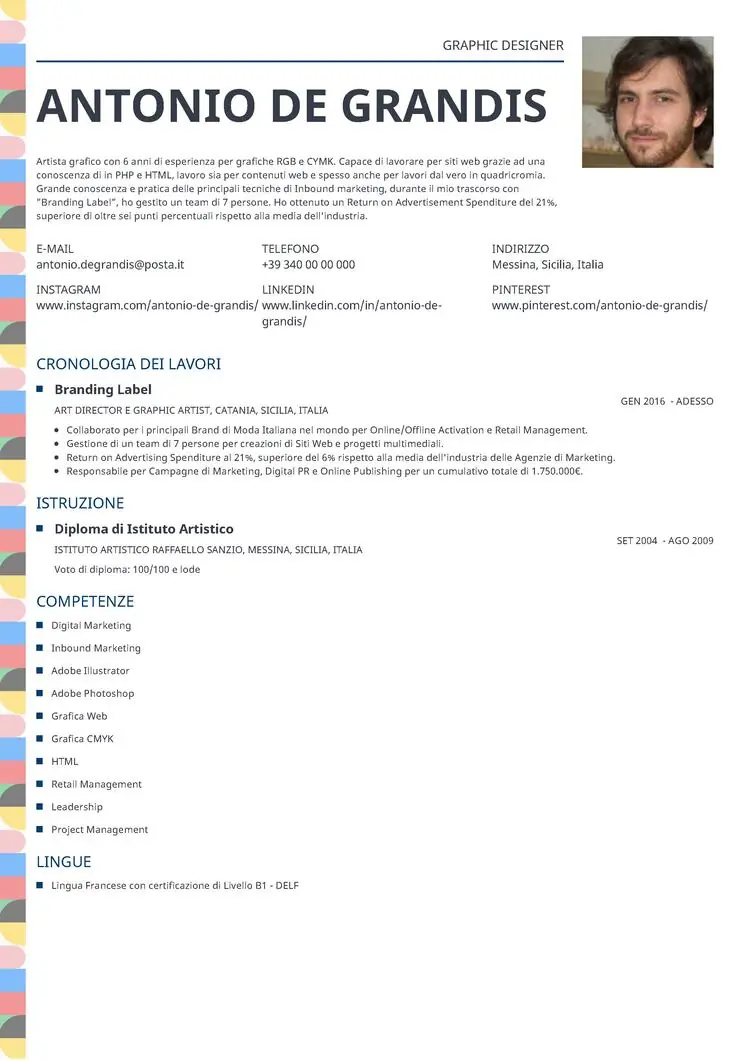 CV personalizzato Profile