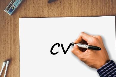 15+ Template di CV per InDesign + download curriculum