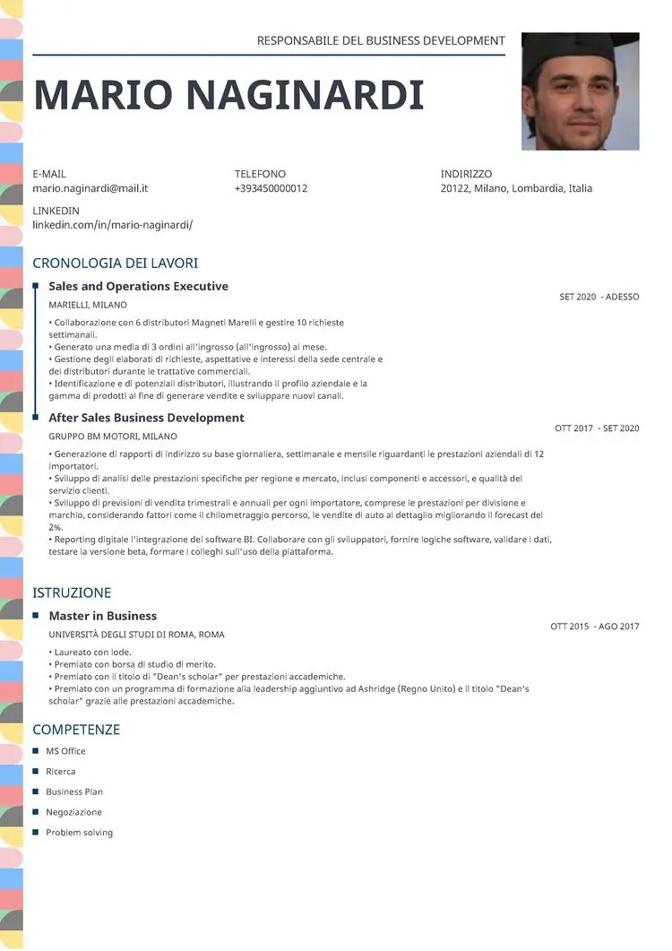 cv una pagina Profile