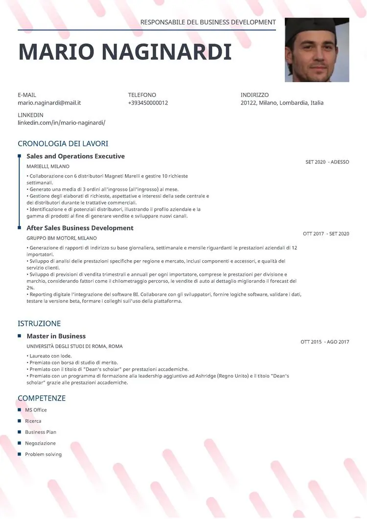 cv una pagina Dynamic